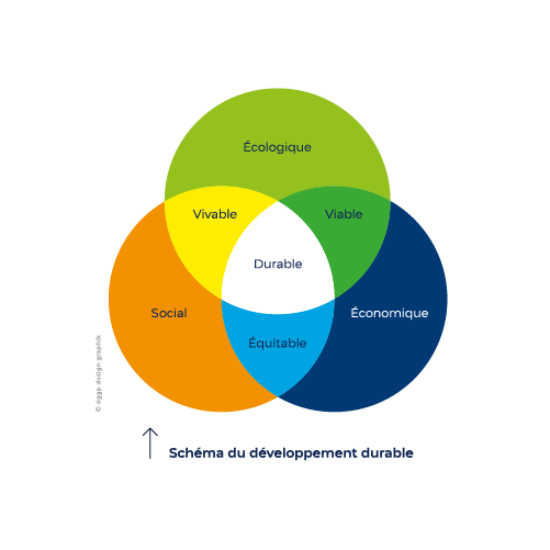 schema-dev-durable